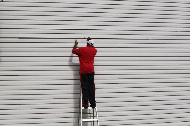 Affordable Siding Repair and Maintenance Services in Warren, MI